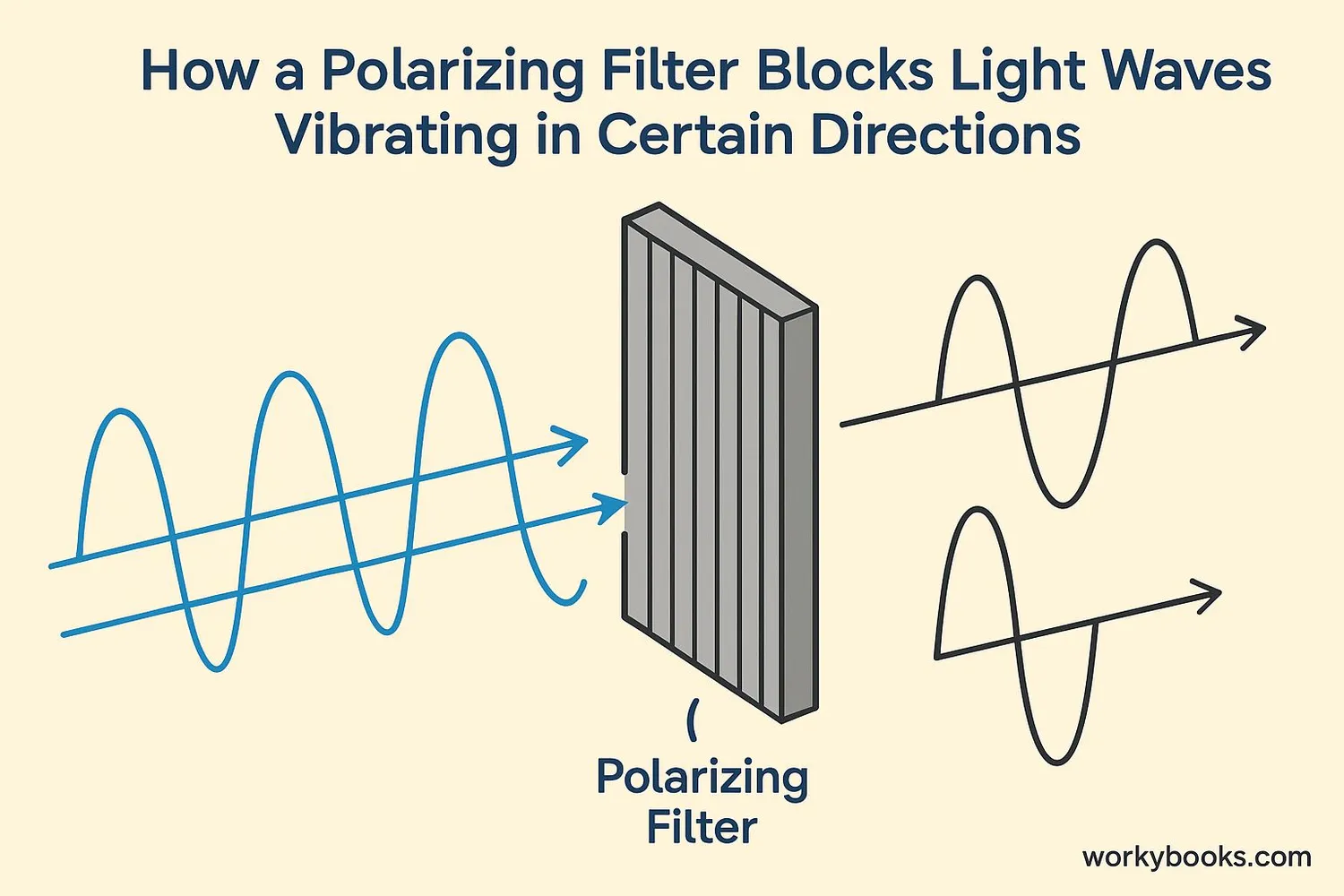 How a polarizing filter works