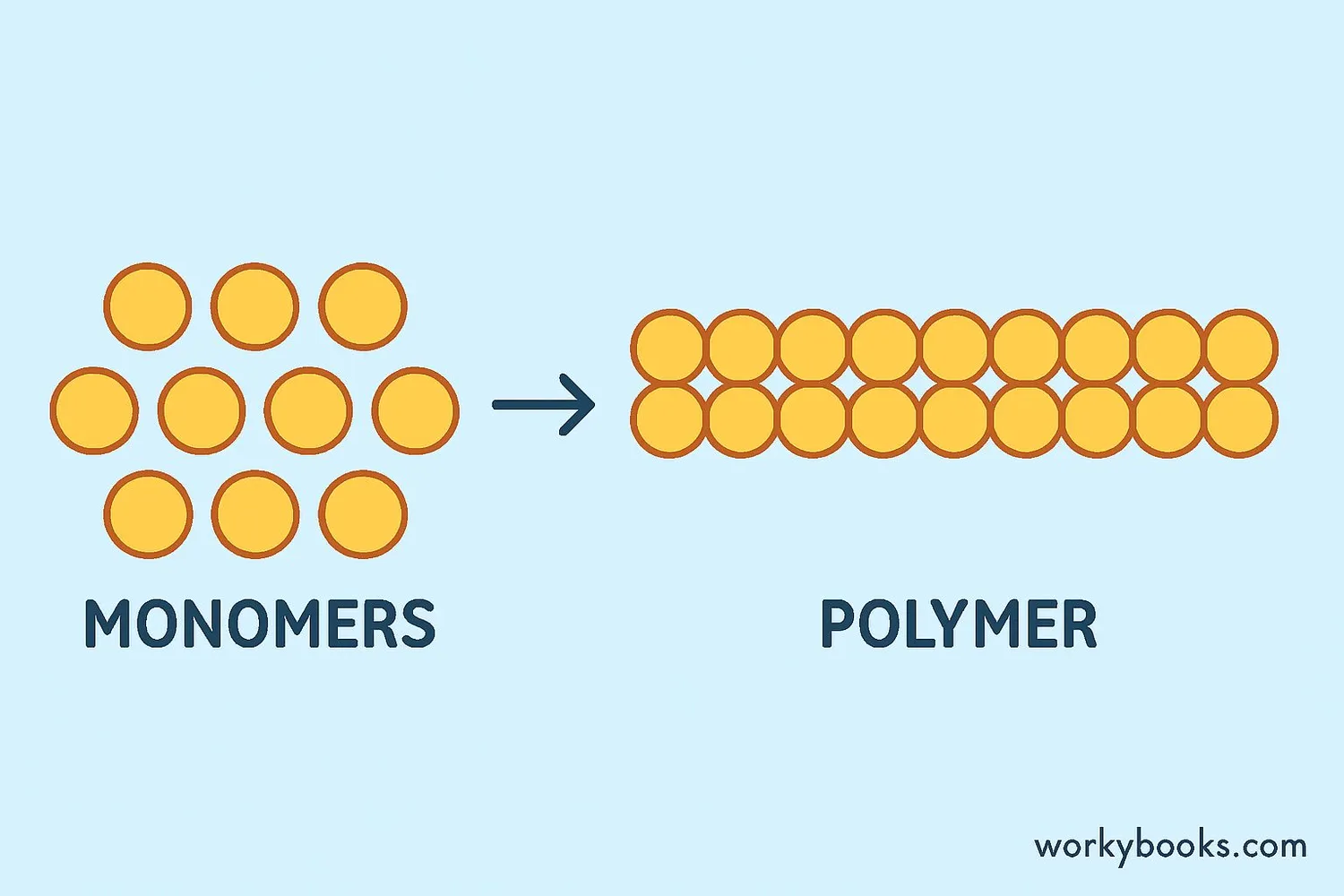 Visual representation of monomers forming a polymer chain