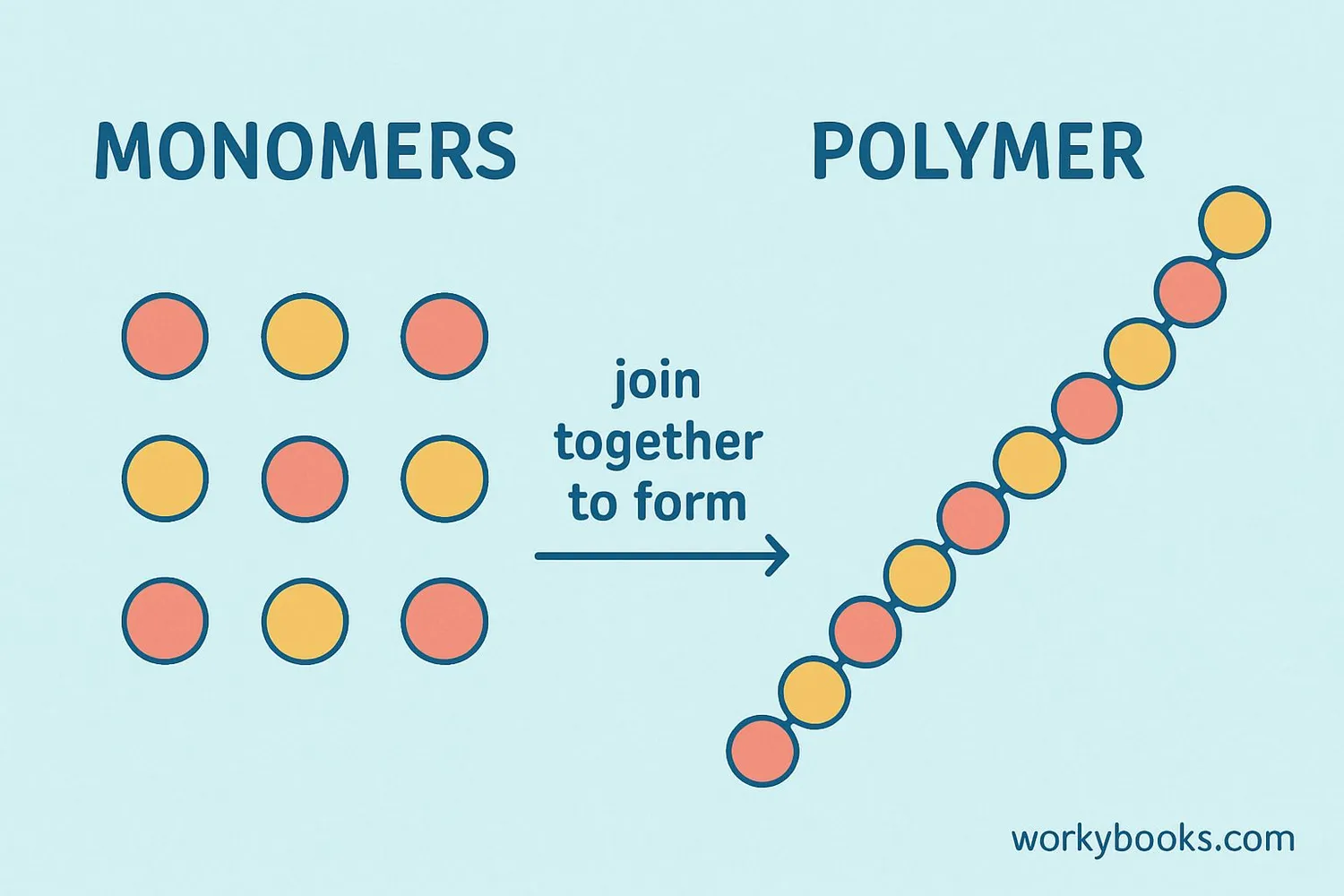 Diagram showing polymerization process