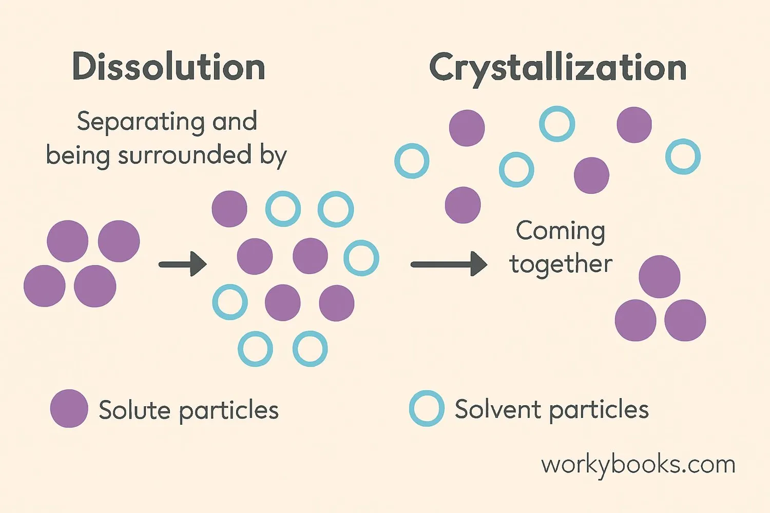 Diagram showing dissolution and crystallization process