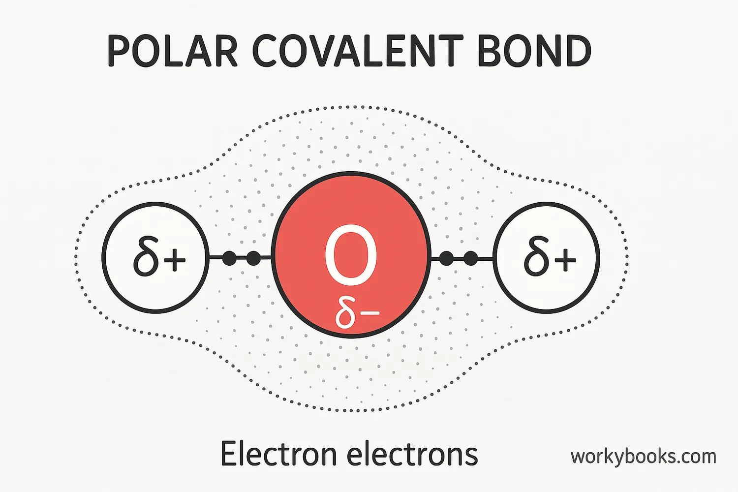 2D diagram of a water molecule showing the oxygen atom with a partial negative charge and the two hydrogen atoms with partial positive charges, with the shared electrons closer to the oxygen, representing a polar covalent bond.