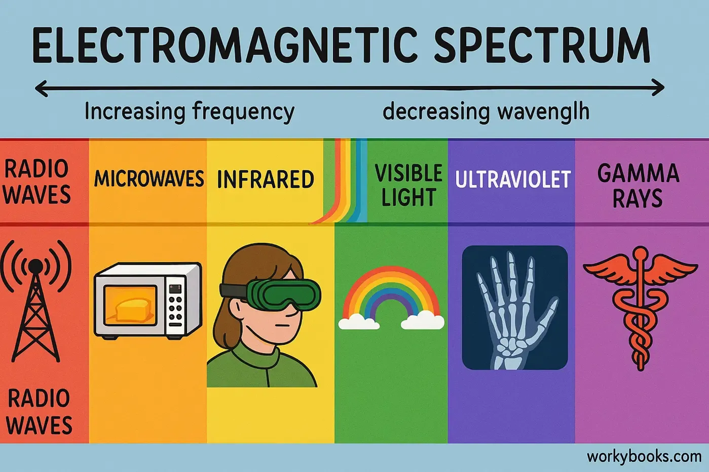 The full range of the electromagnetic spectrum, from long-wavelength radio waves to short-wavelength gamma rays, with examples of each type's use.