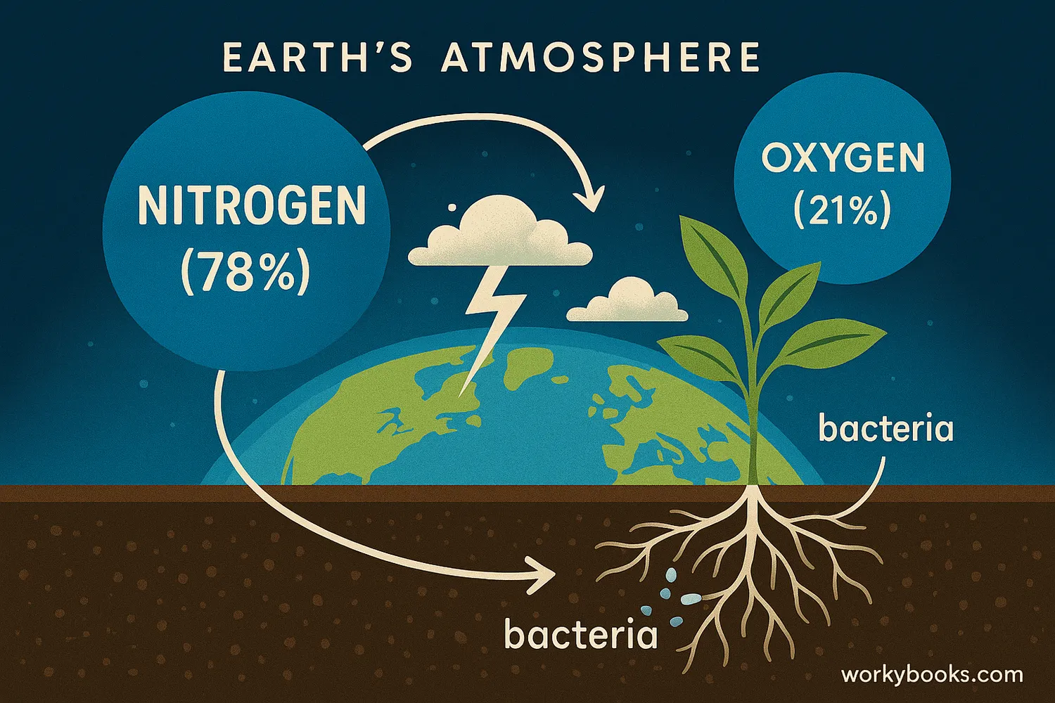 The composition of Earth's atmosphere, with a large section for nitrogen (78%) and a smaller one for oxygen (21%). The image also depicts the nitrogen cycle, with lightning and bacteria converting atmospheric nitrogen into the soil.