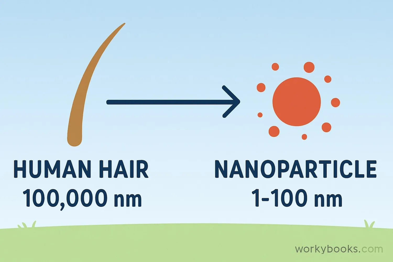 Visual representation of size comparison showing a human hair, a dust mite, a red blood cell, and nanoparticles