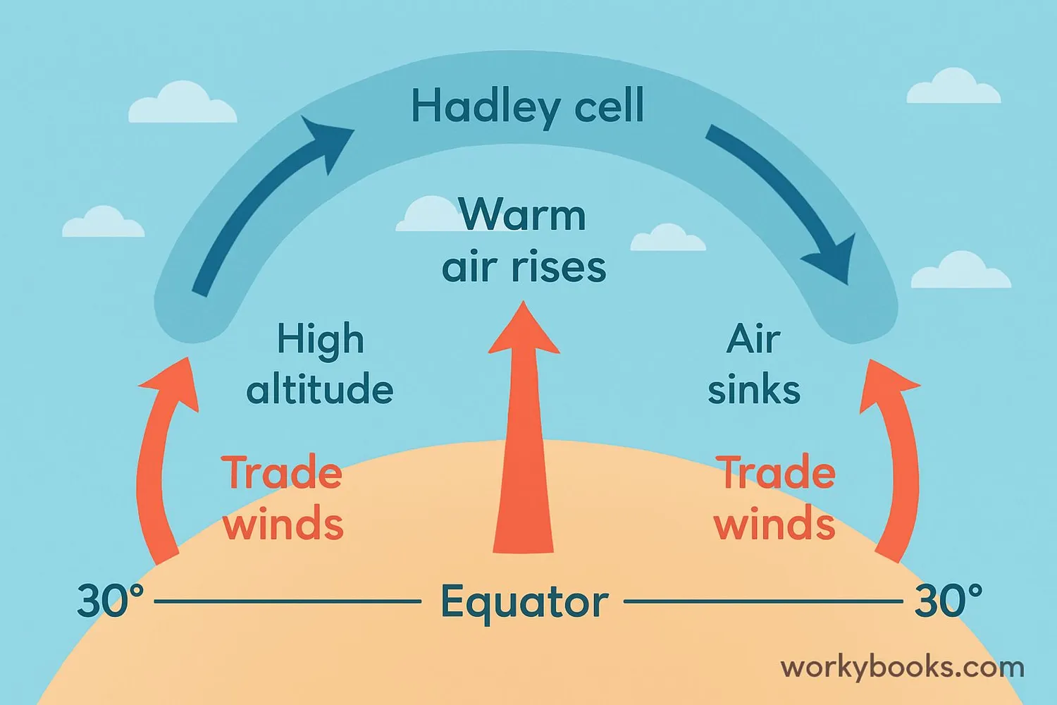 Diagram showing the Hadley cell circulation pattern with warm air rising at the equator and sinking at 30°