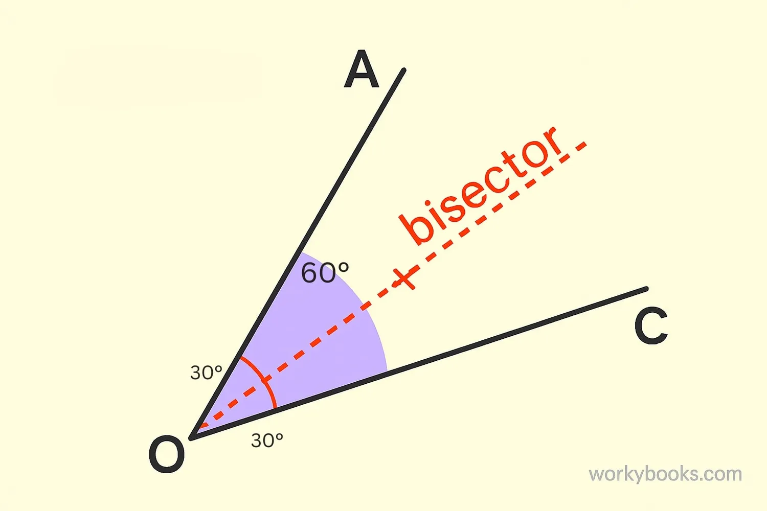 Visual representation of an angle bisector dividing a 60° angle into two 30° angles