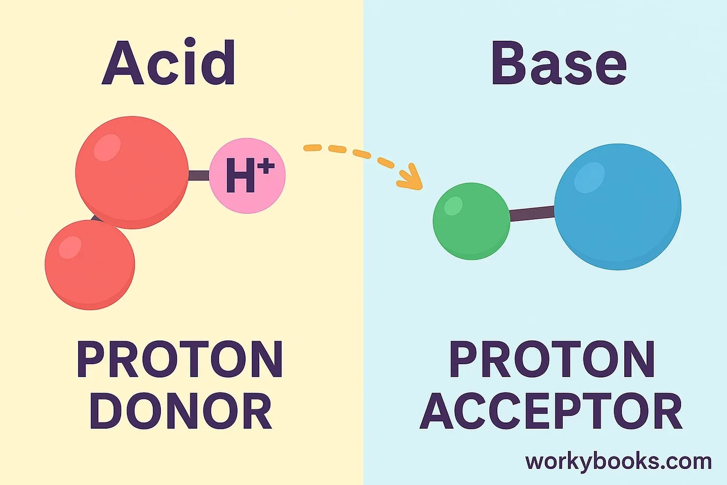 Visual representation of acids donating protons and bases accepting protons