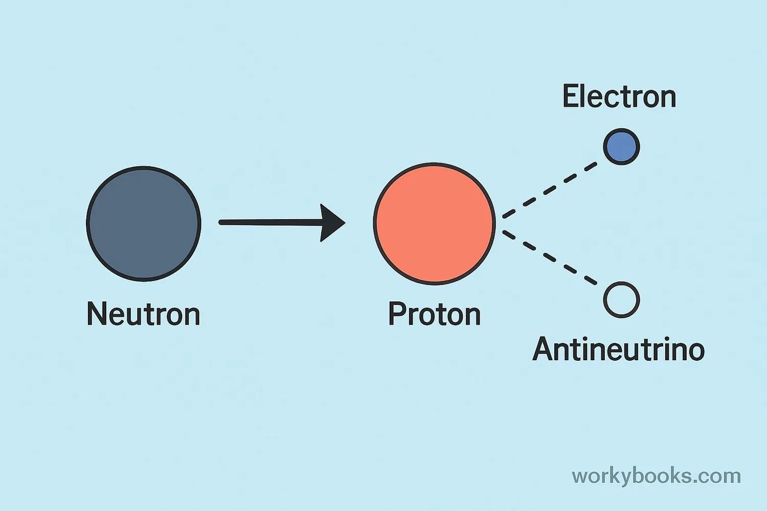 Diagram showing neutron transforming into a proton and emitting an electron and antineutrino