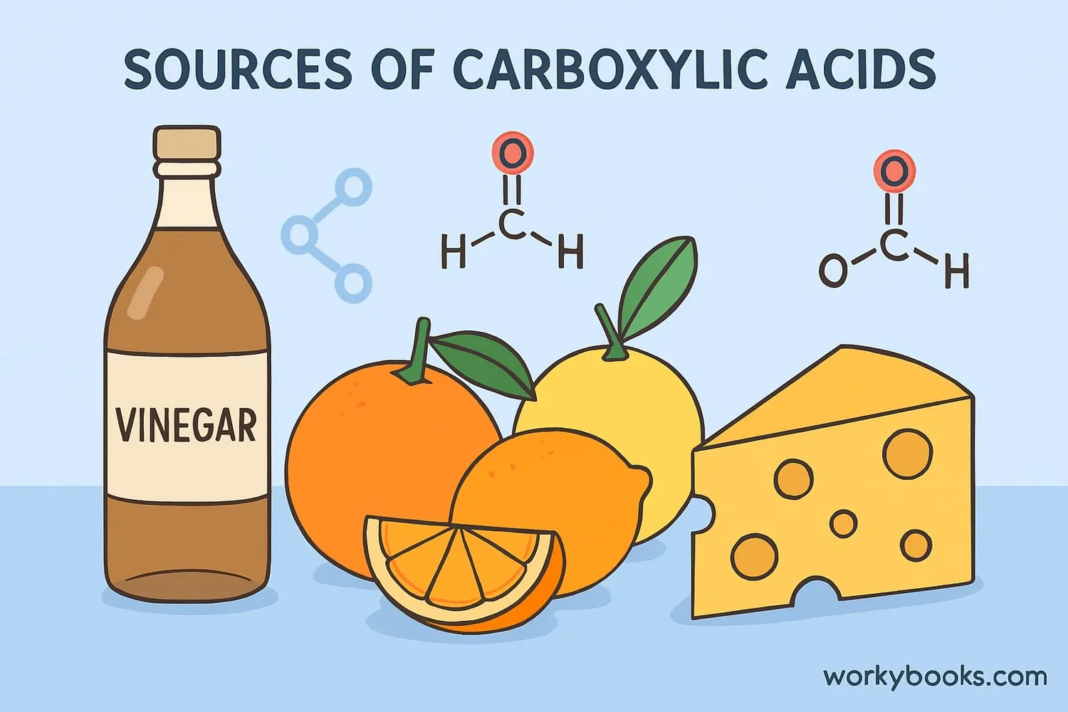 Common sources of carboxylic acids in everyday life