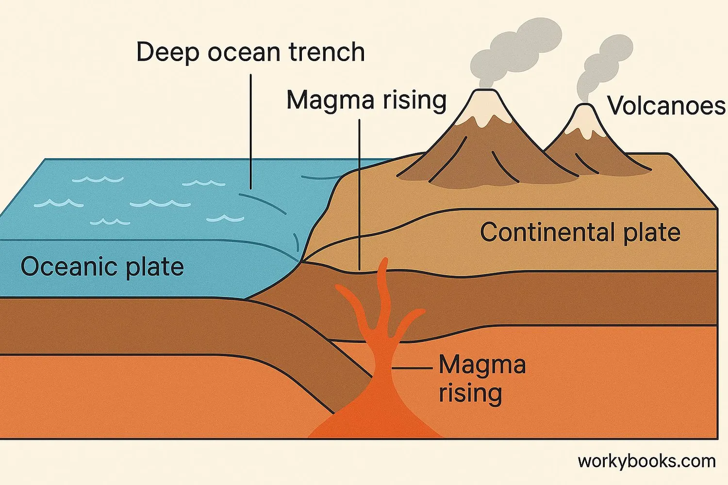 Diagram showing subduction process at convergent boundary