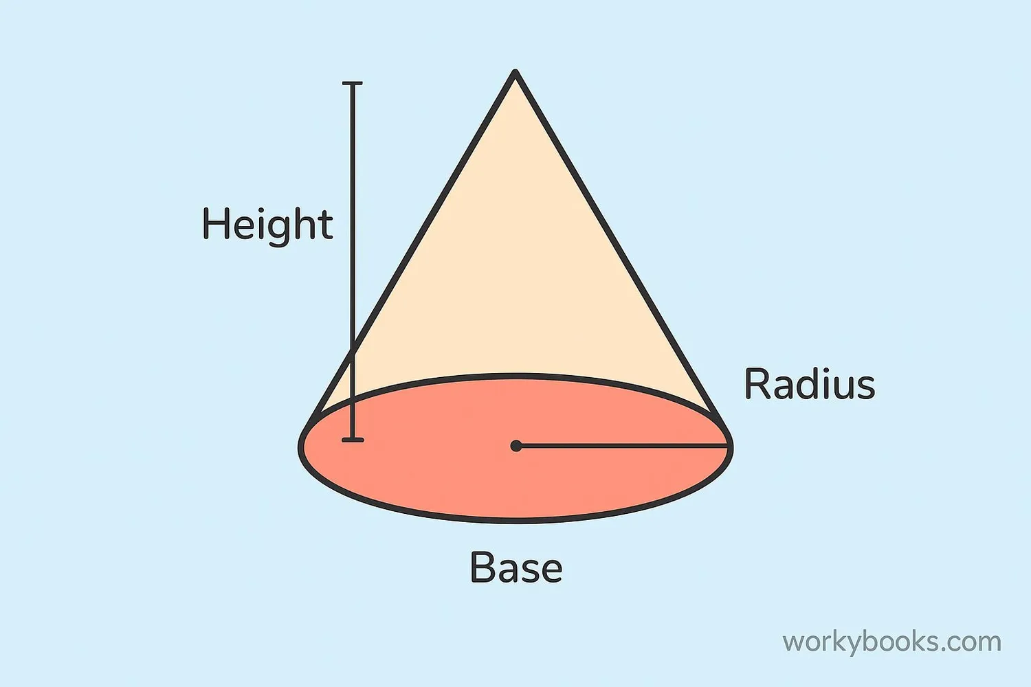 Visual representation of cone with its circular base highlighted