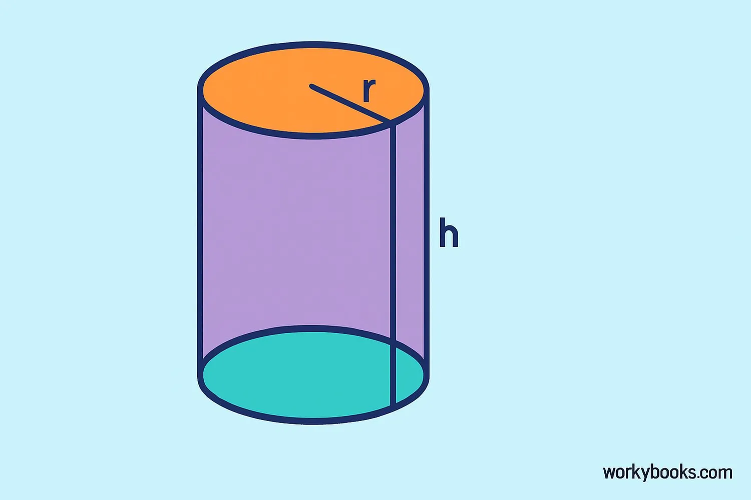 Visual representation of a cylinder with its circular bases highlighted