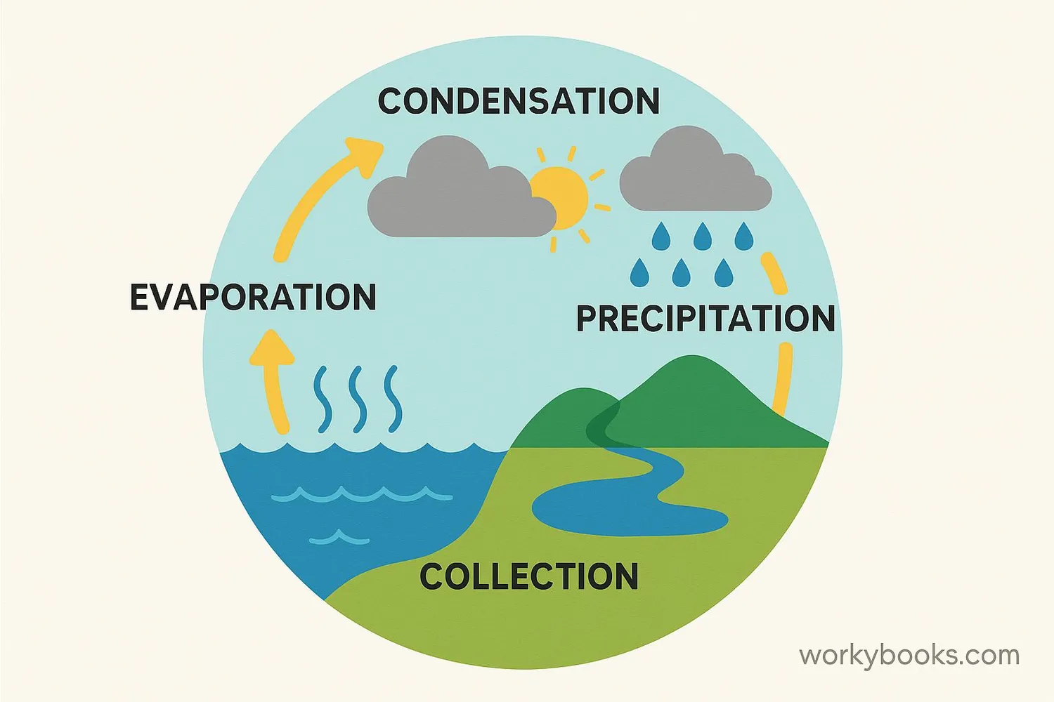 Water cycle diagram