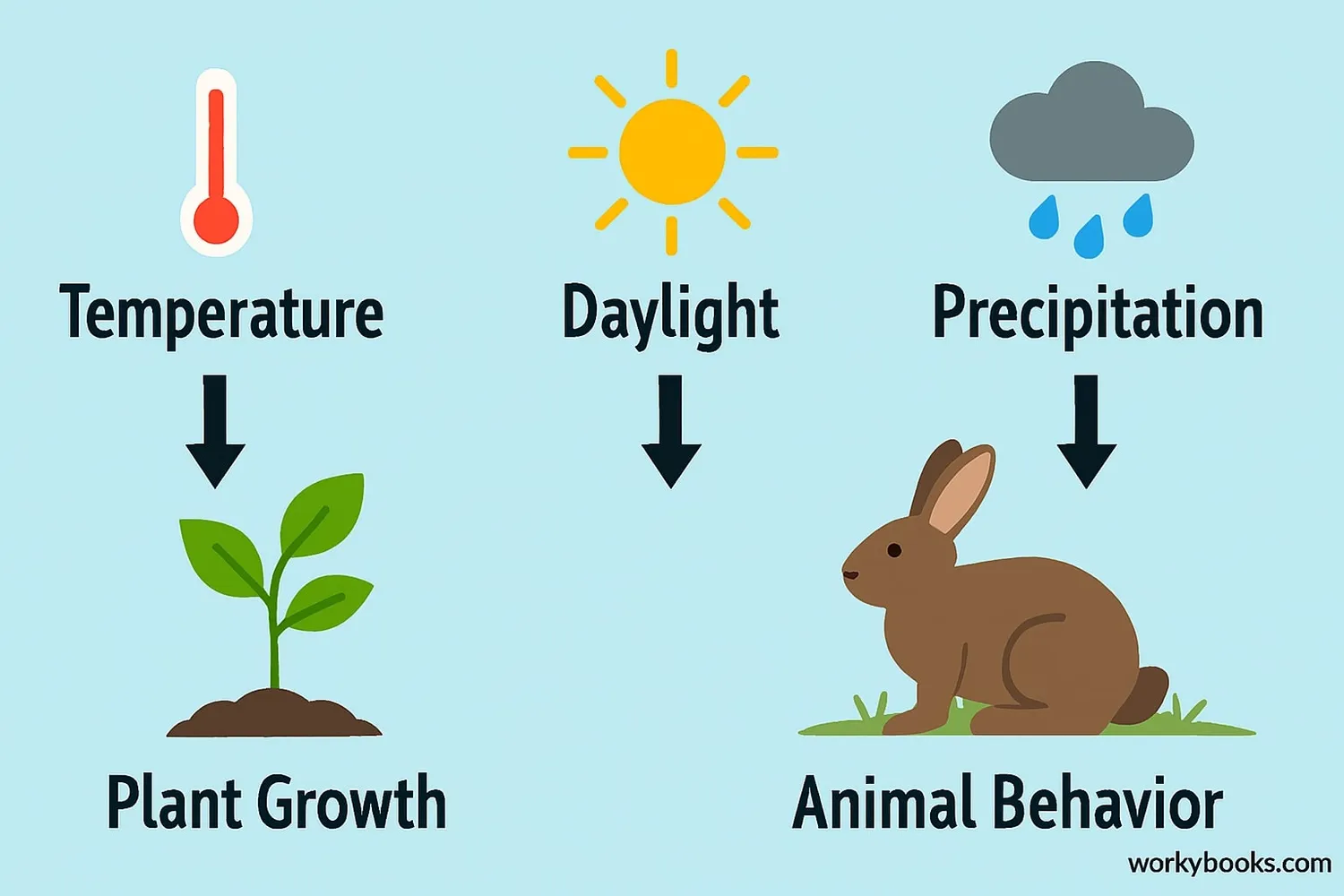 Diagram showing how temperature, daylight, and precipitation affect plant growth and animal behavior