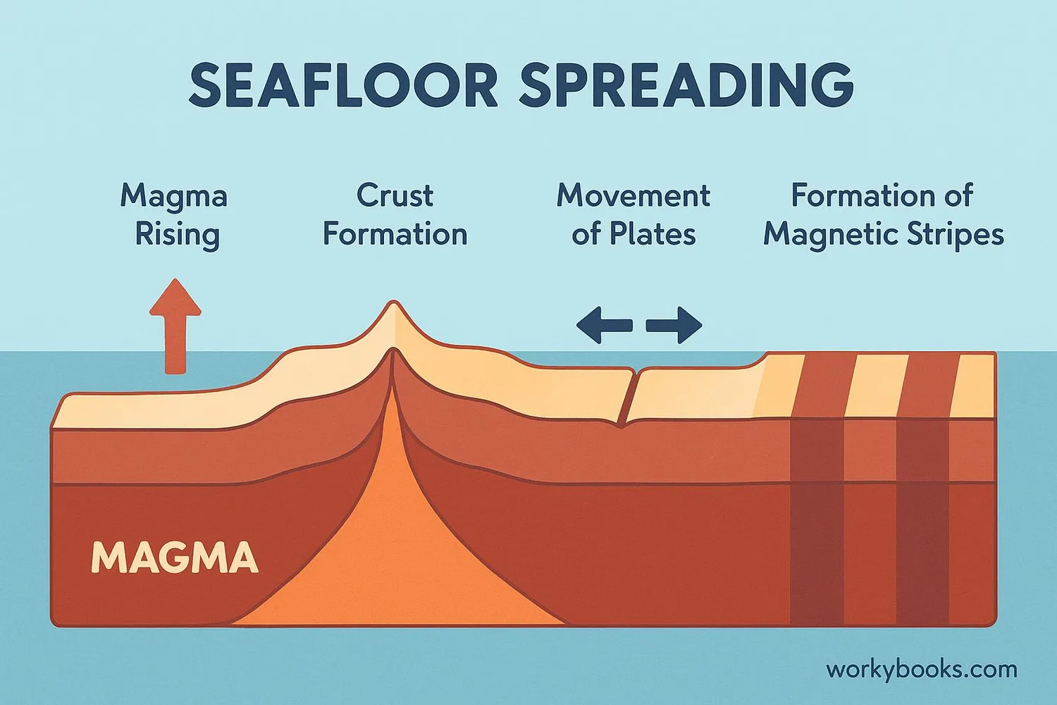 Diagram showing the process of seafloor spreading