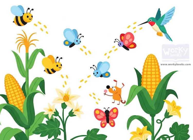 Pollination