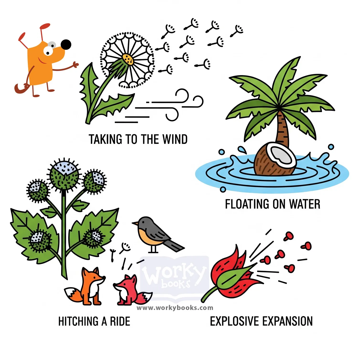 Seed-Dispersal