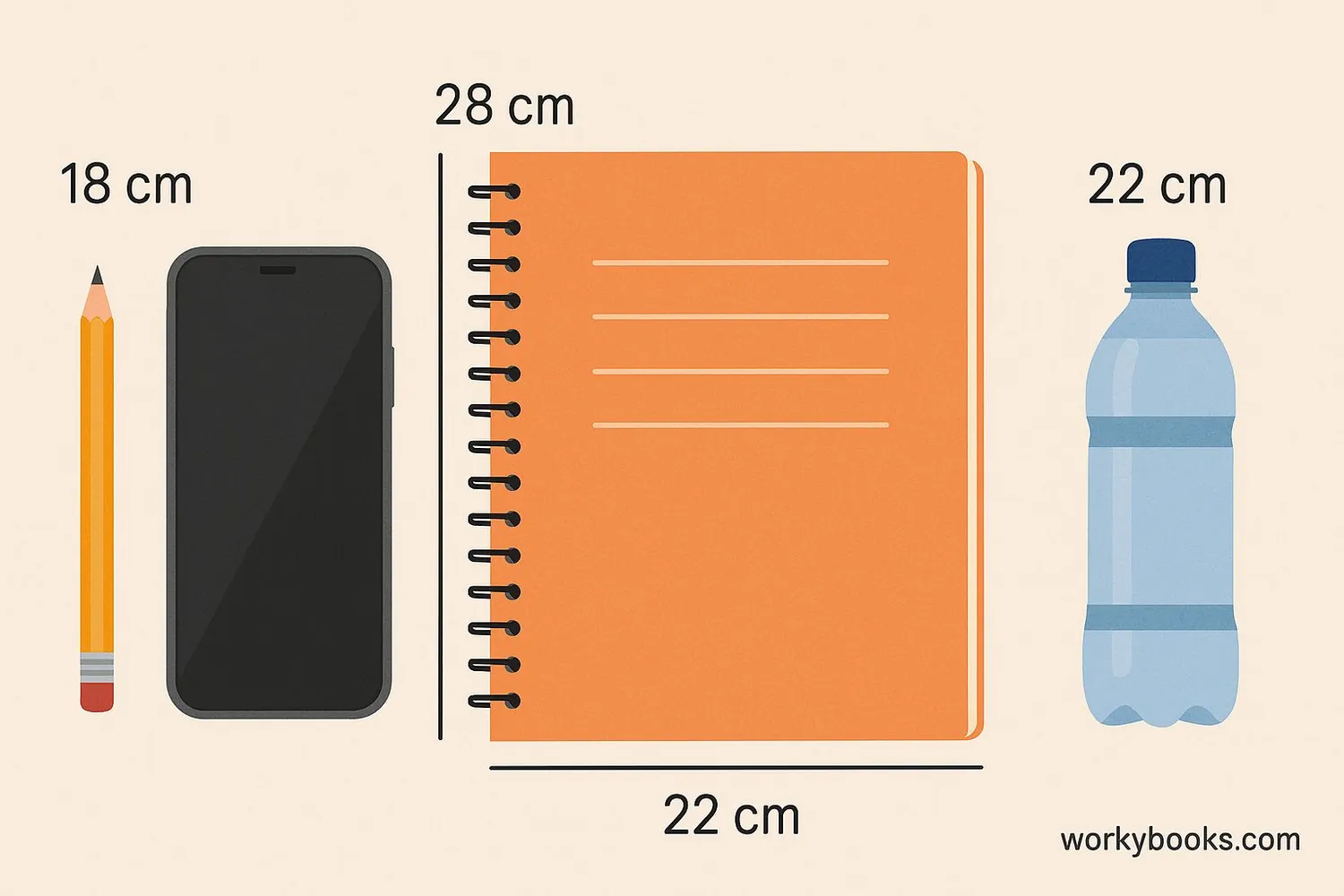 Everyday objects measured in centimeters