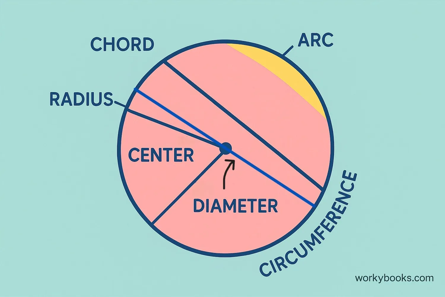 Basic parts of a circle