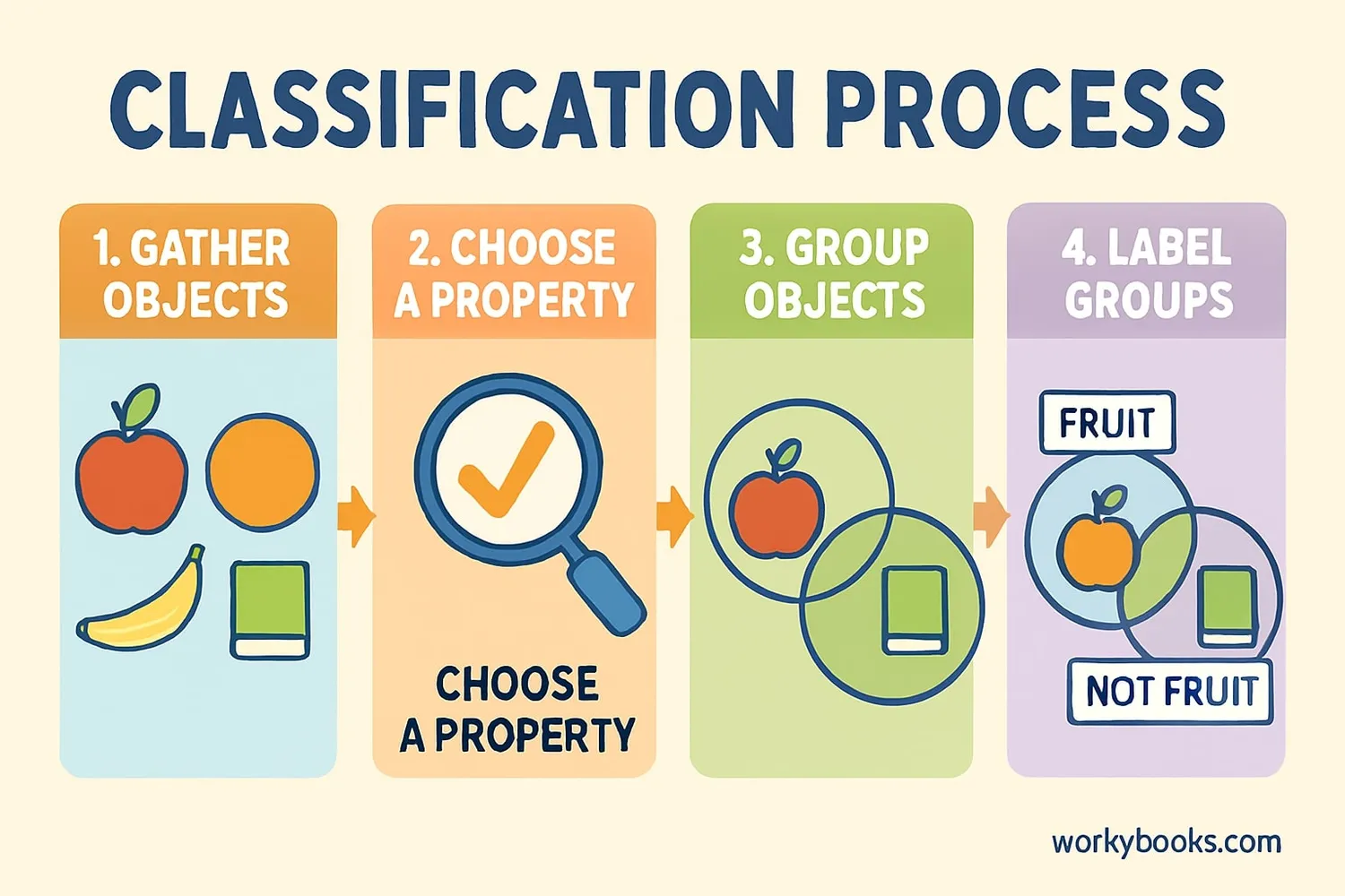 Step-by-step visual guide showing classification process
