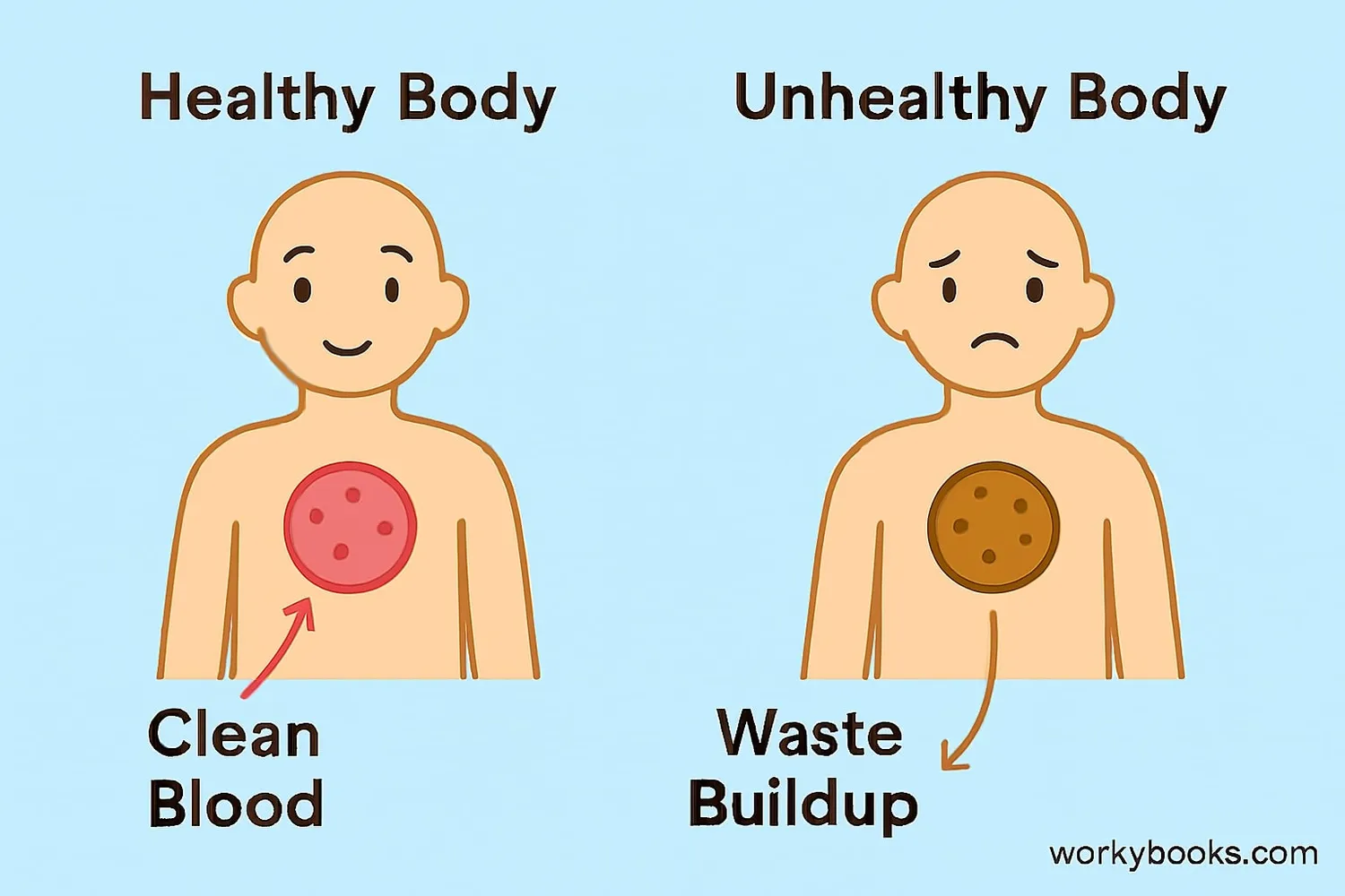Illustration showing the importance of waste removal for health