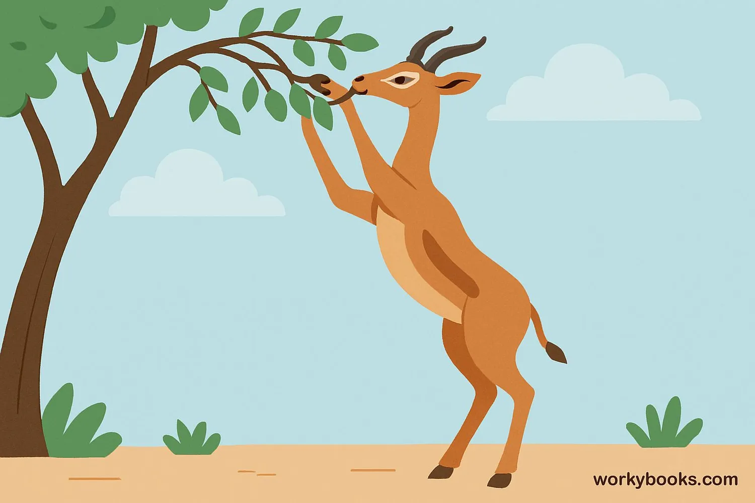 Gerenuk feeding adaptation