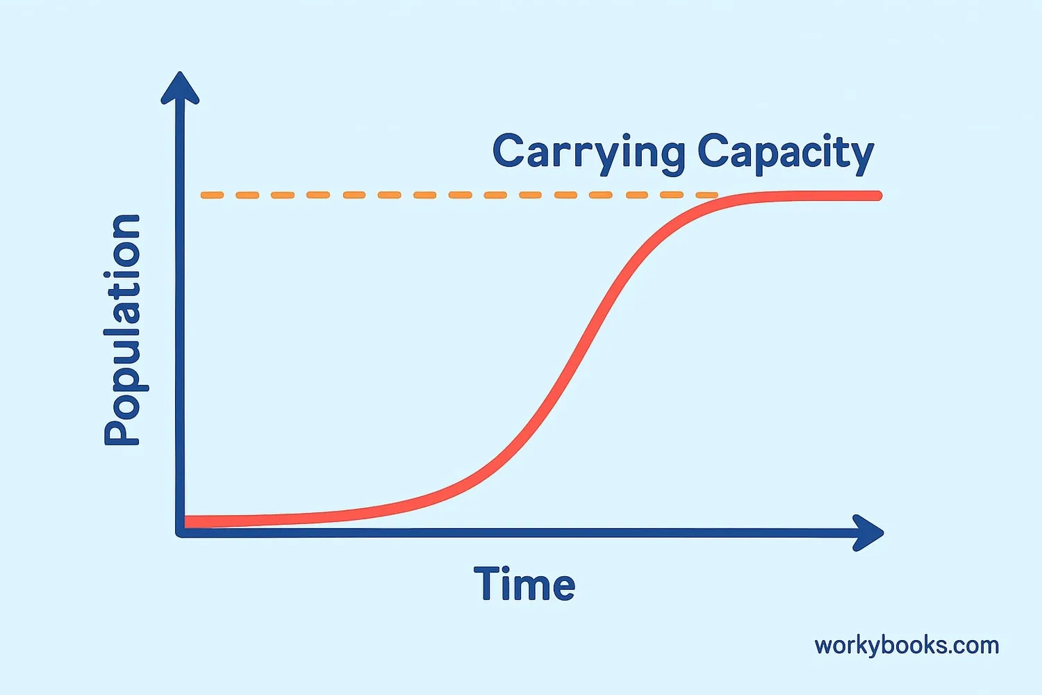 Population growth curve reaching carrying capacity