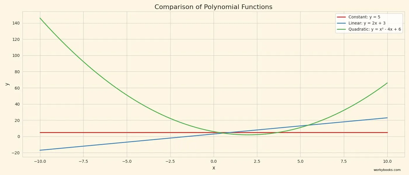 Chart showing constant, linear, and quadratic polynomials with examples