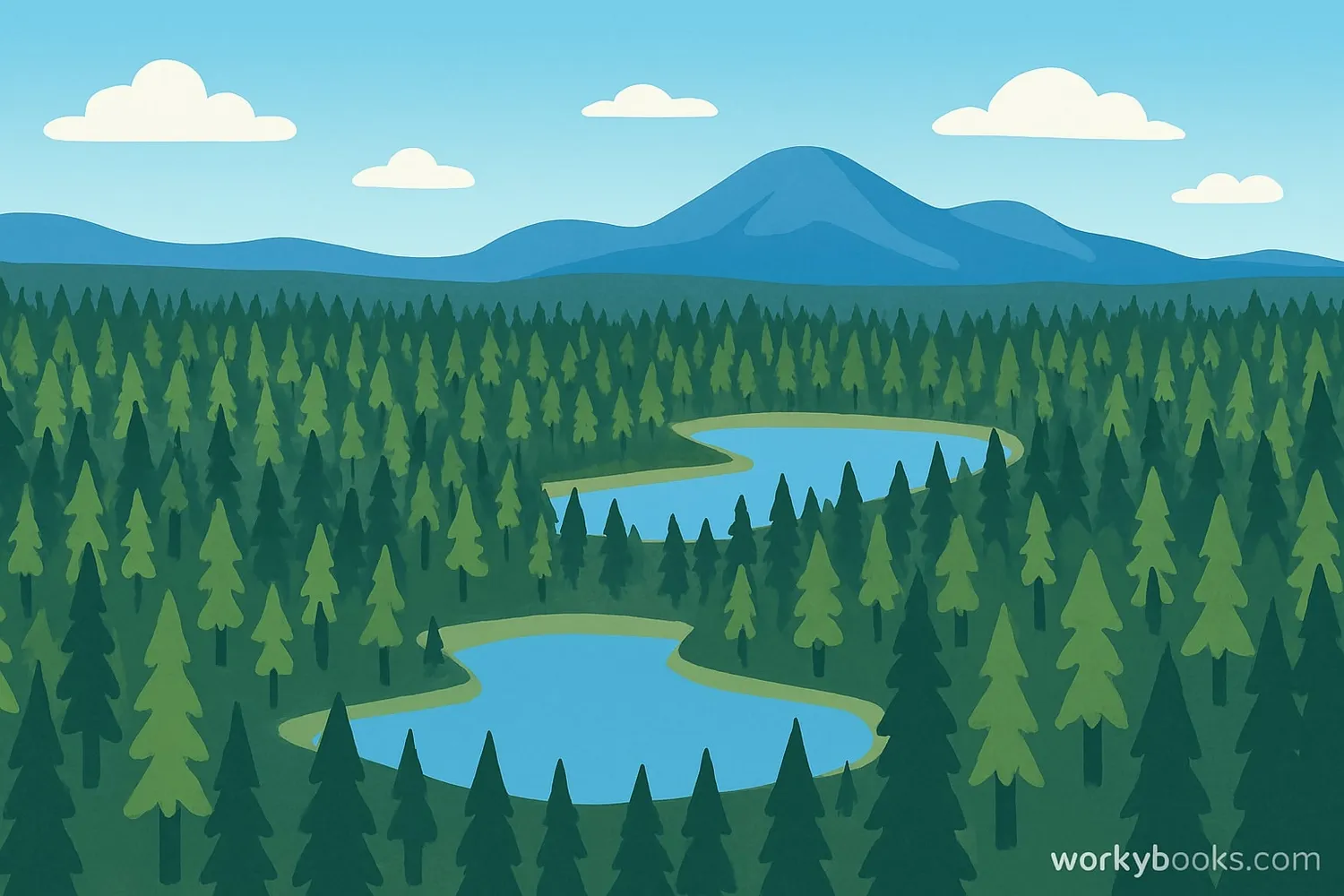 Aerial view of a vast boreal forest landscape with coniferous trees and lakes
