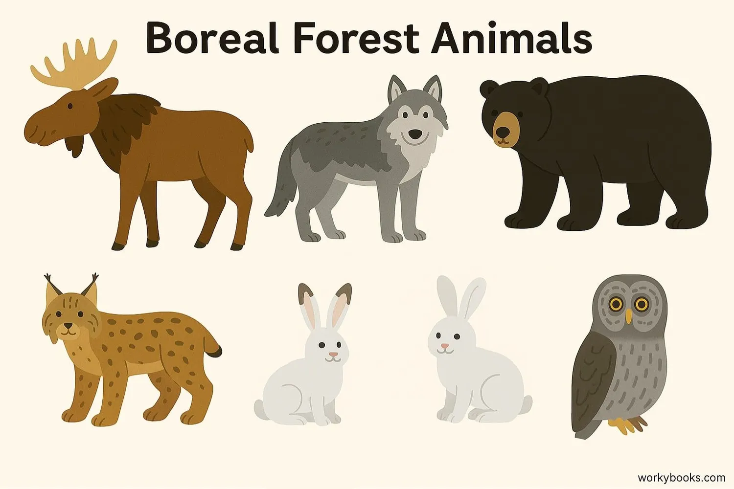 Boreal forest animals including moose, wolves, bears, and birds