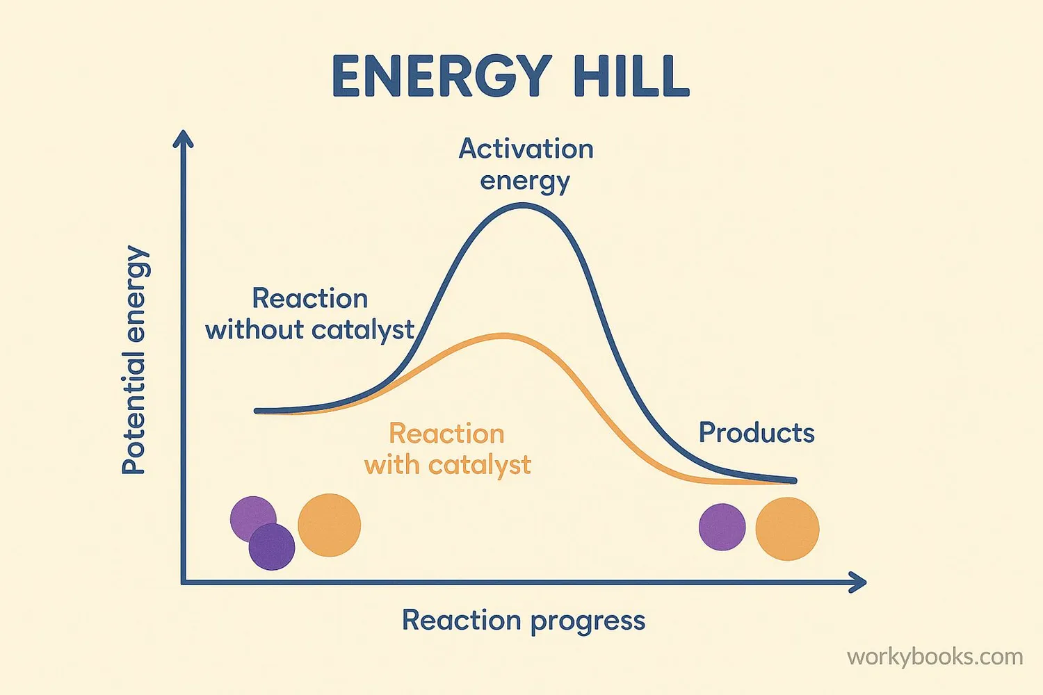 Diagram showing catalyst lowering activation energy