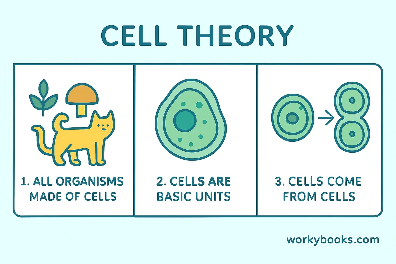 Diagram showing the three principles of cell theory with simple icons