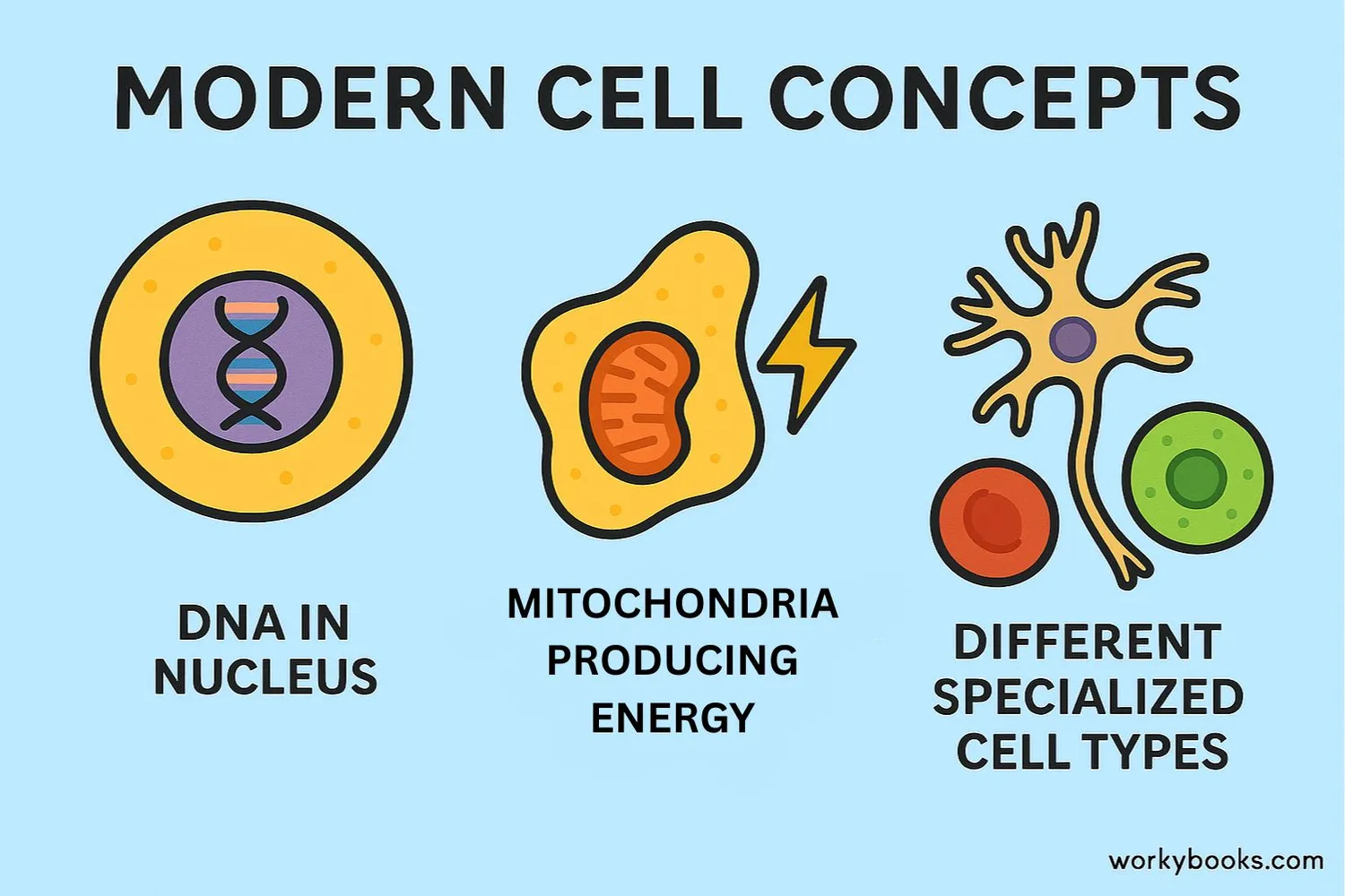 Illustration showing modern additions to cell theory: DNA, energy flow, and cell specialization