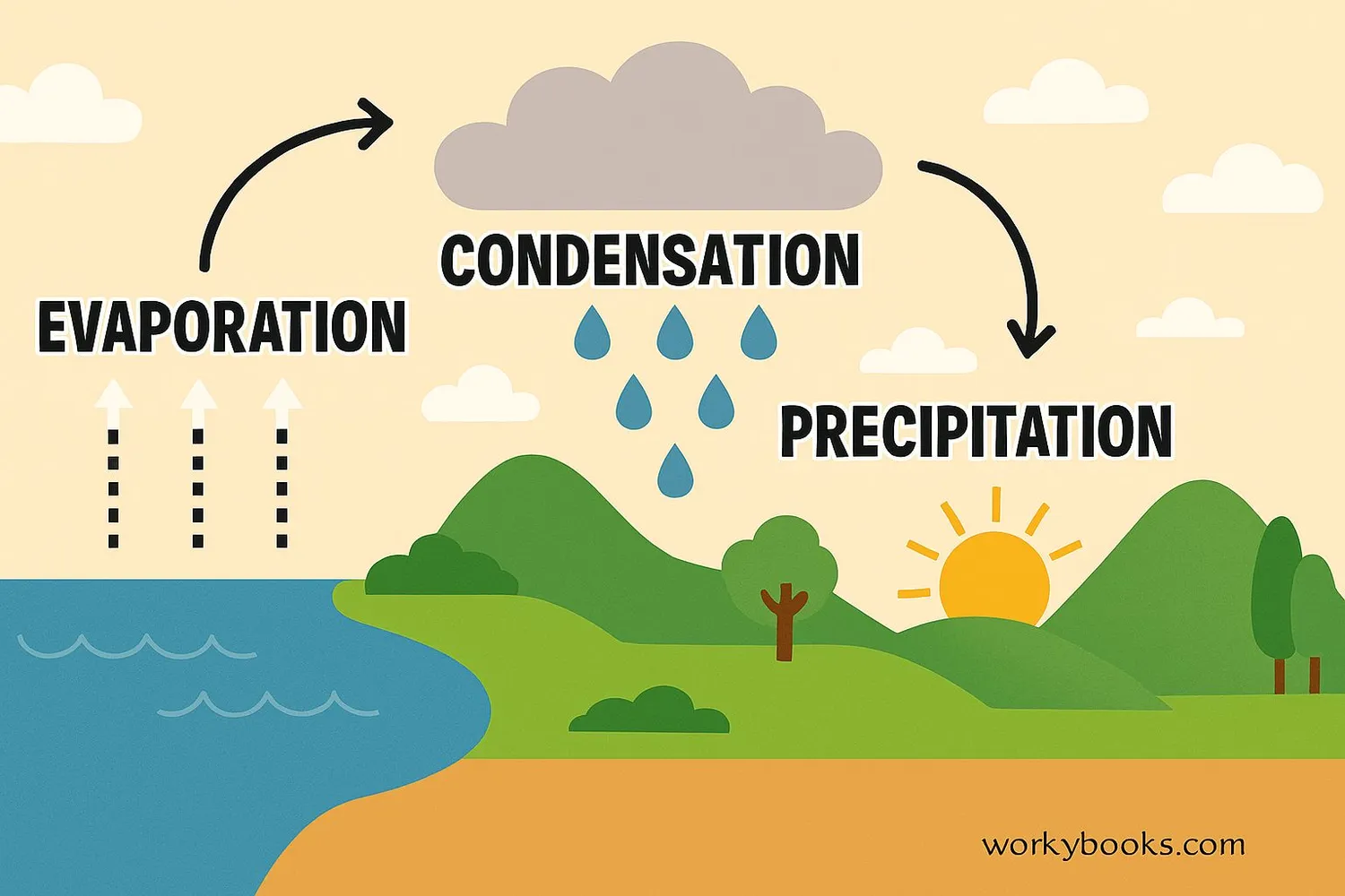 Diagram showing the water cycle and cloud formation process