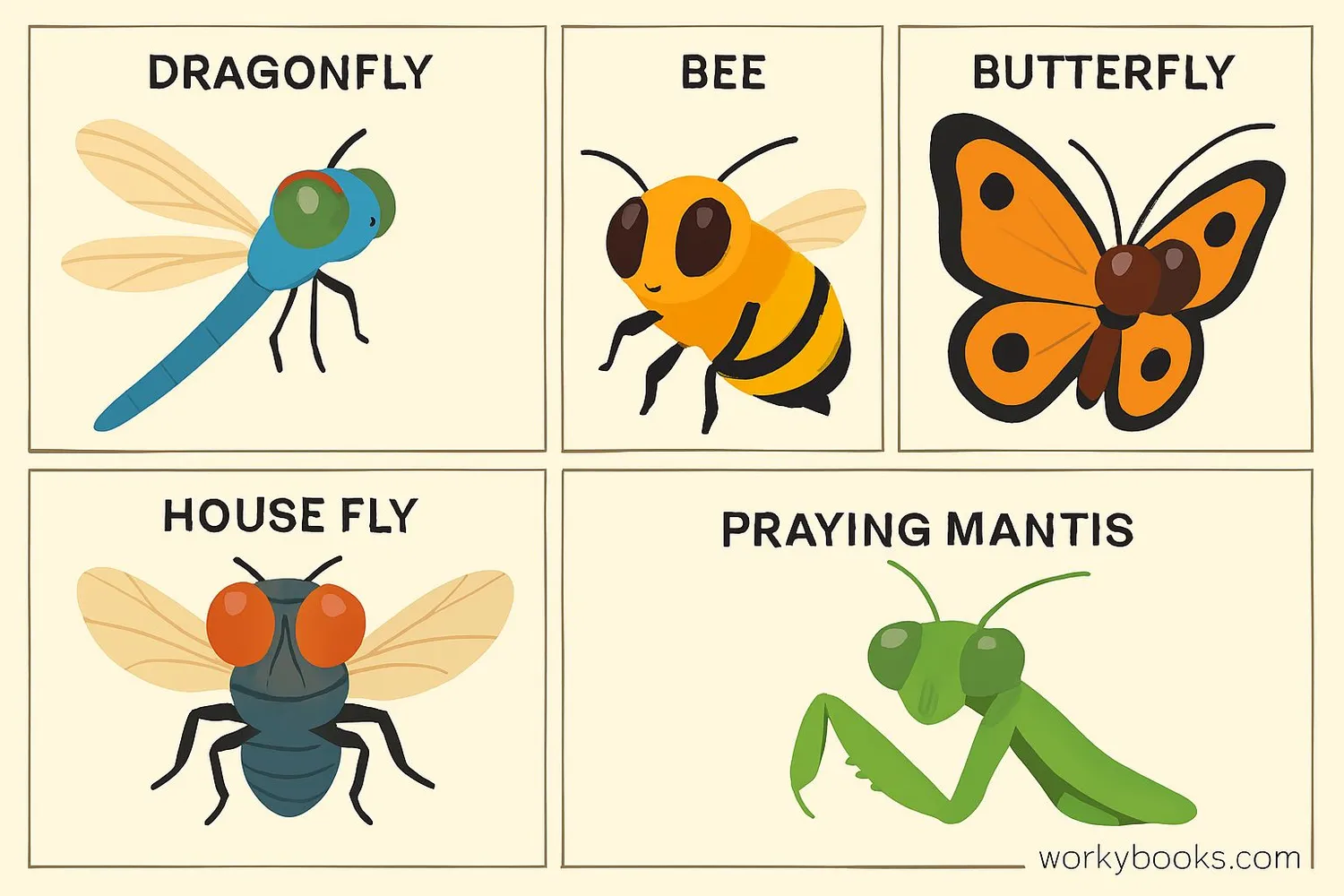 Collage of insects with compound eyes