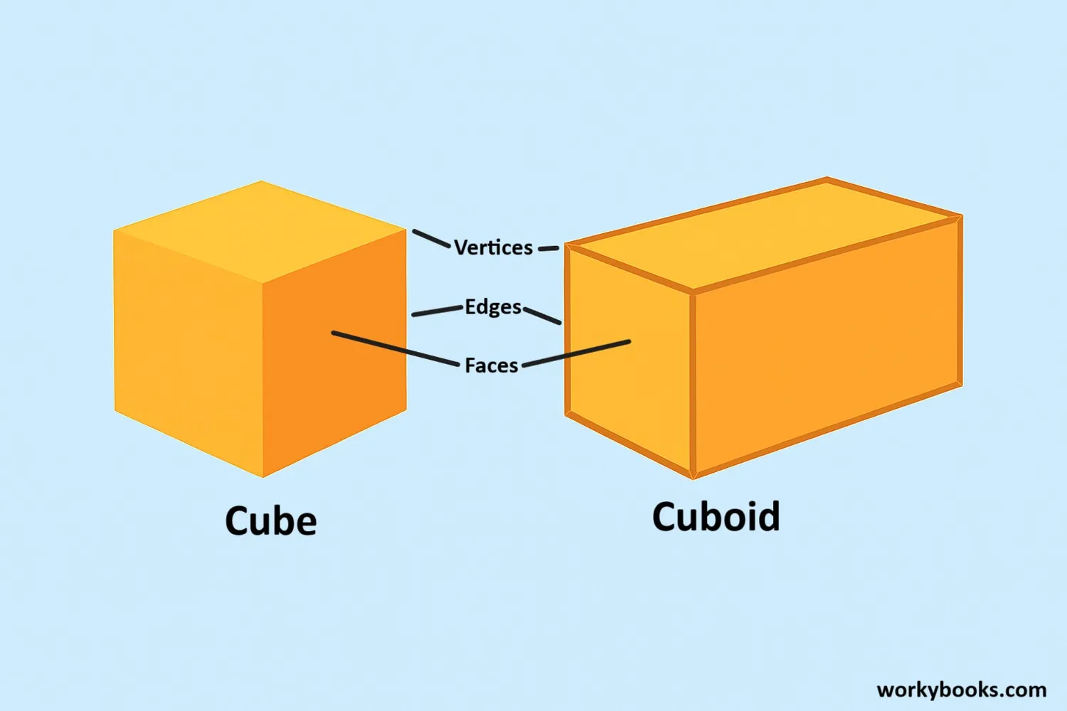 Cube and cuboid - two important 3D shapes