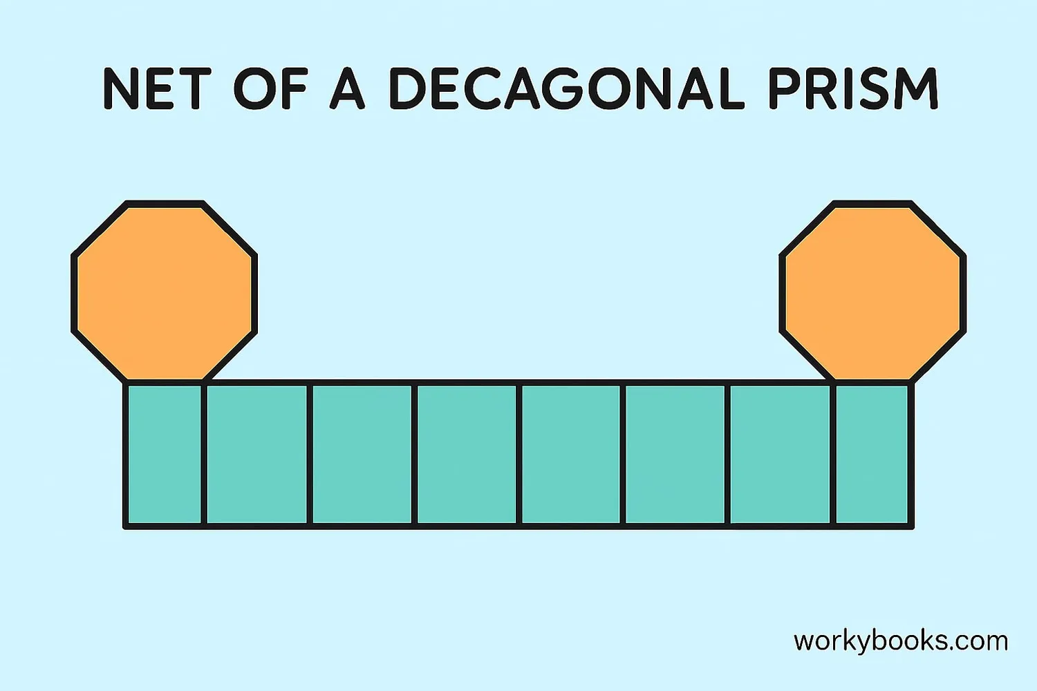 Net of a decagonal prism showing two decagons and ten rectangles