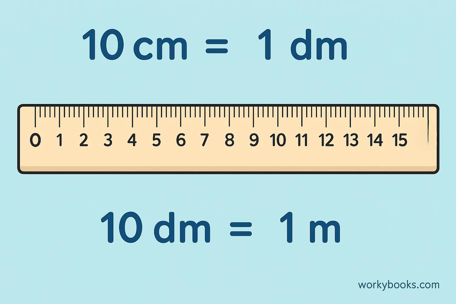 Visual representation of decimeter in the metric system