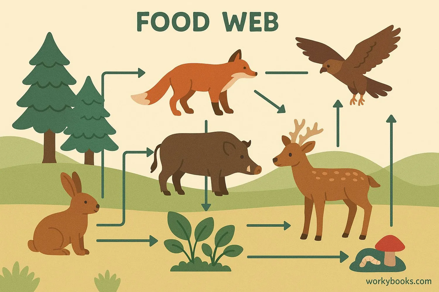 Complex food web showing multiple interconnected food chains
