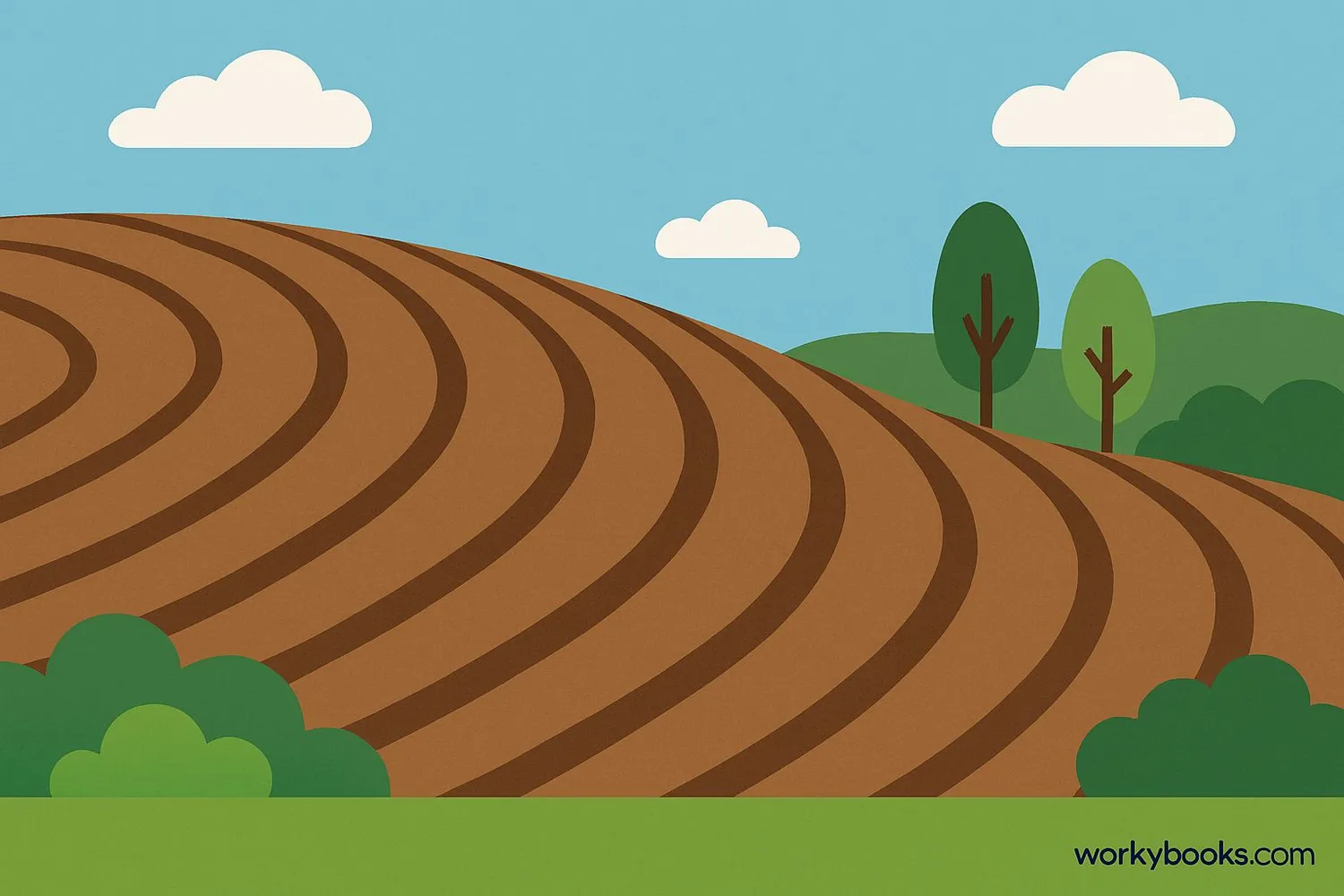 Visual representation of contour plowing on a hillside