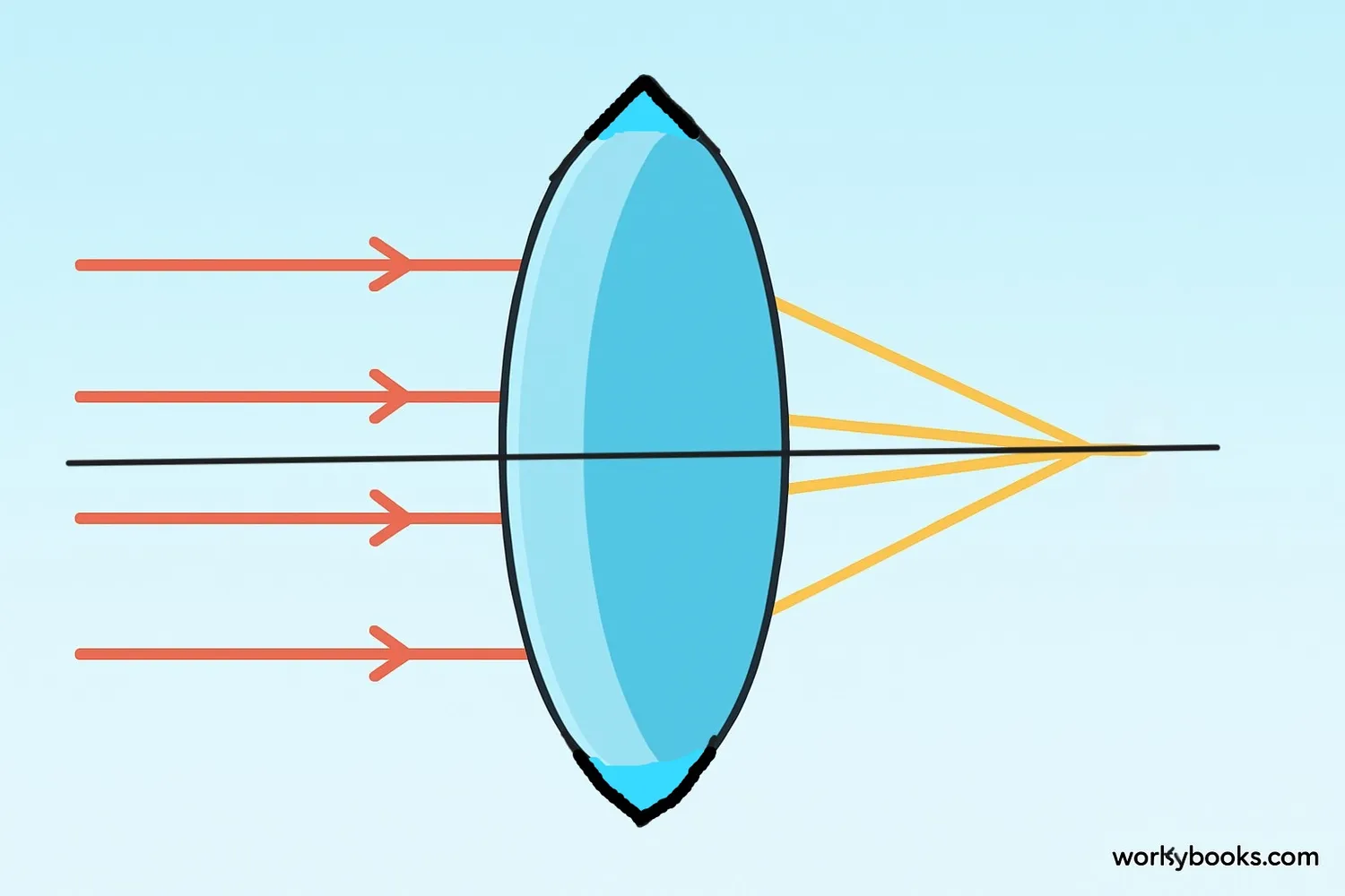 Illustration showing convex lens shape