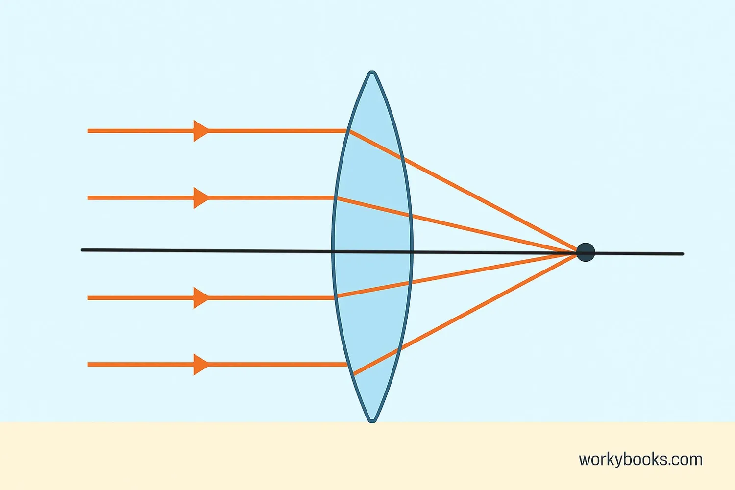 Illustration of light refraction through convex lens