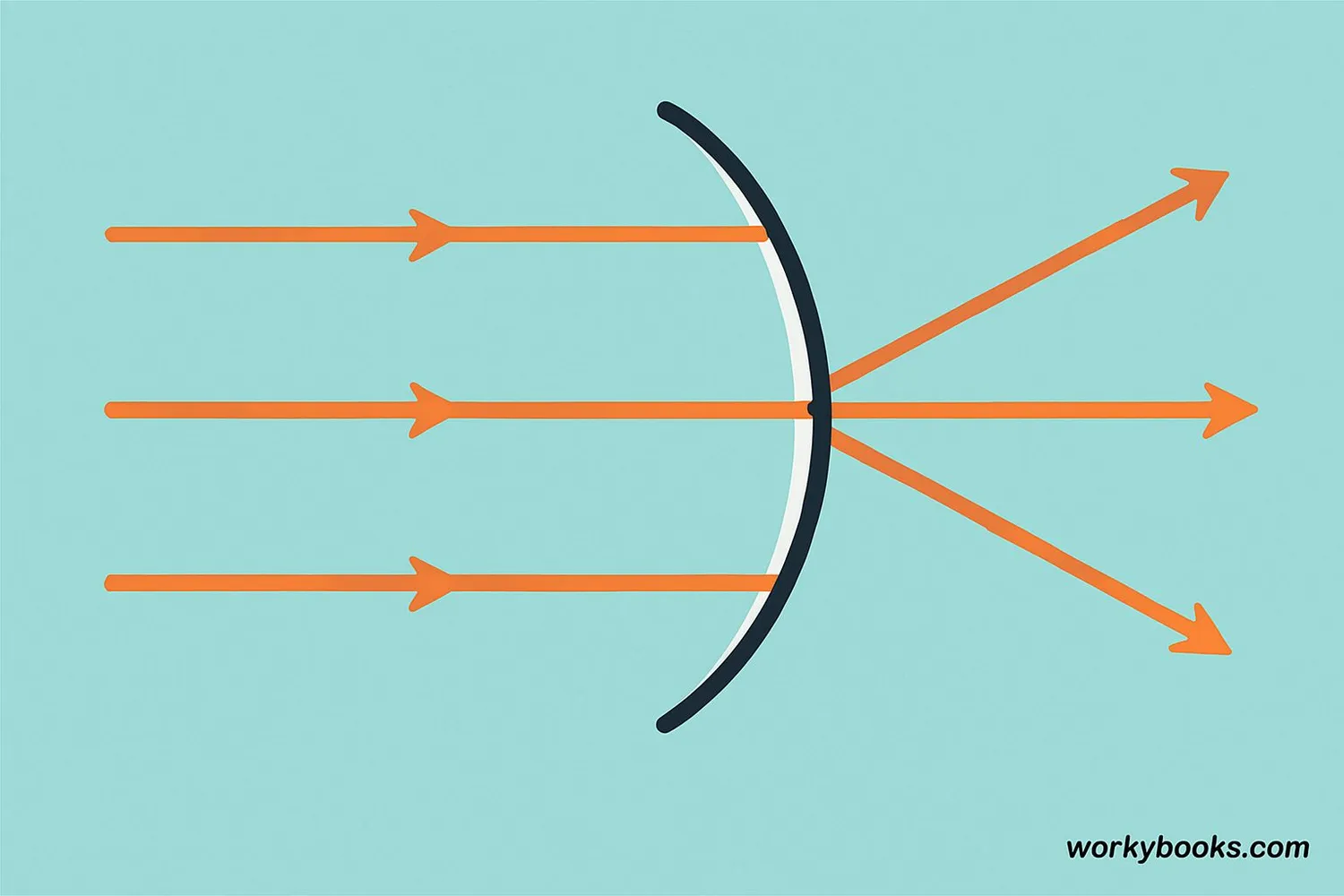 Visual representation of a convex mirror showing curved surface