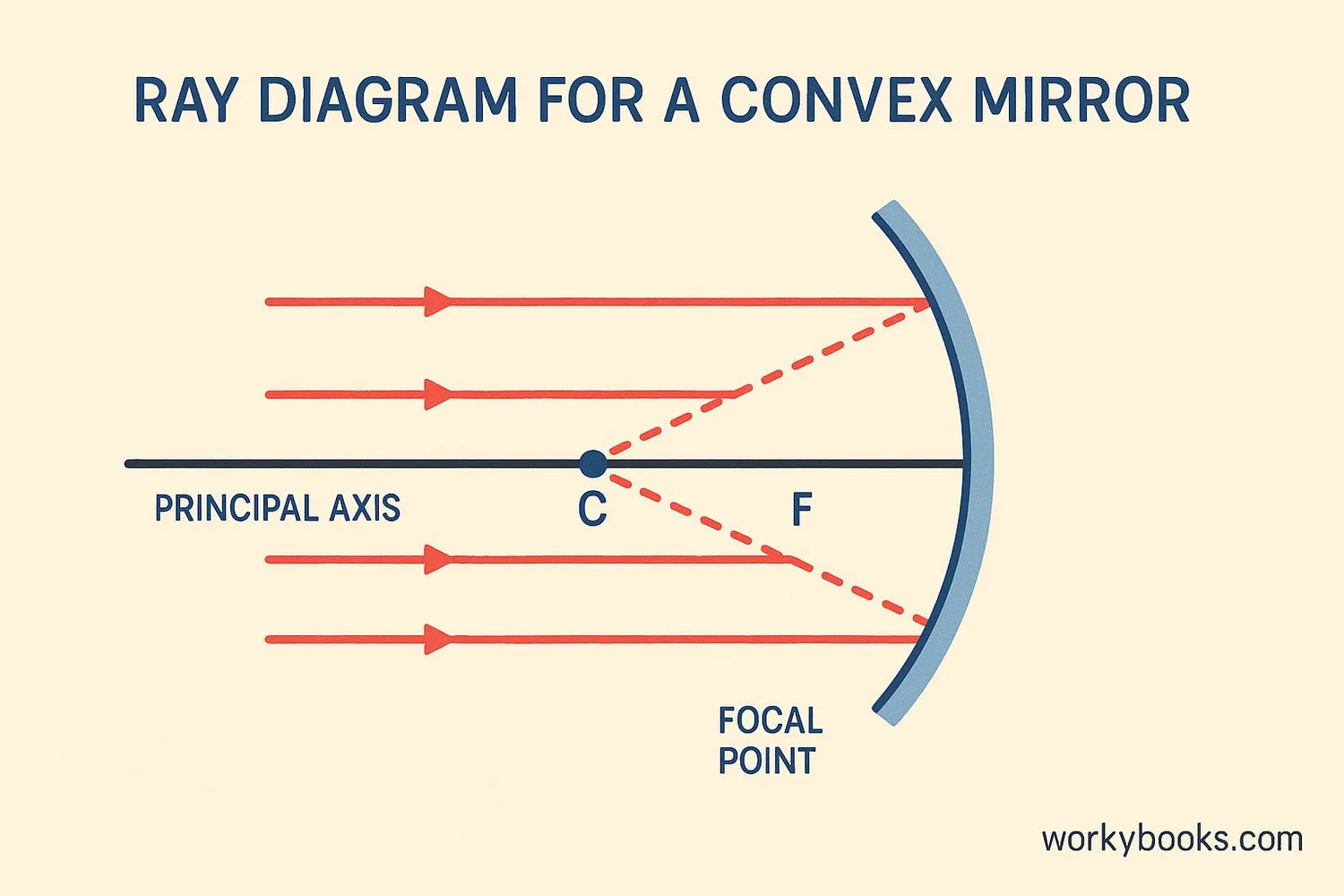 Illustration showing ray diagram for a convex mirror with focal point and center of curvature