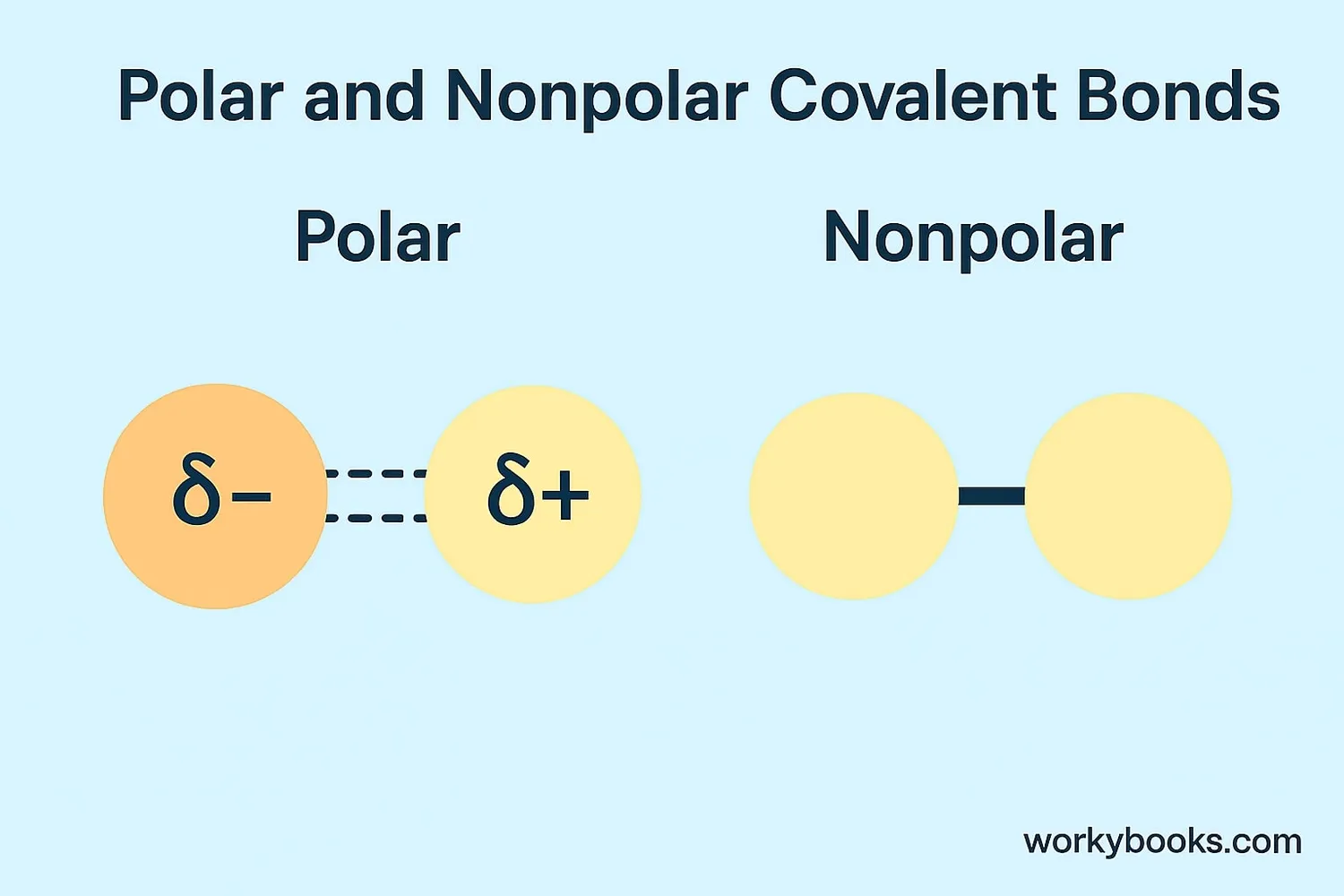 Comparison of polar and nonpolar covalent bonds