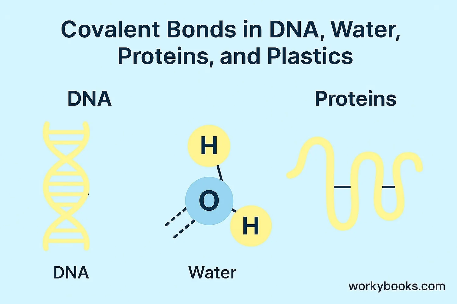Illustration showing covalent bonds in everyday life
