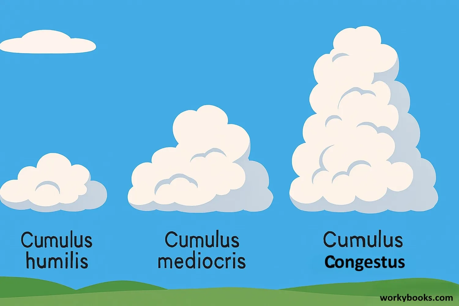 Different types of cumulus clouds