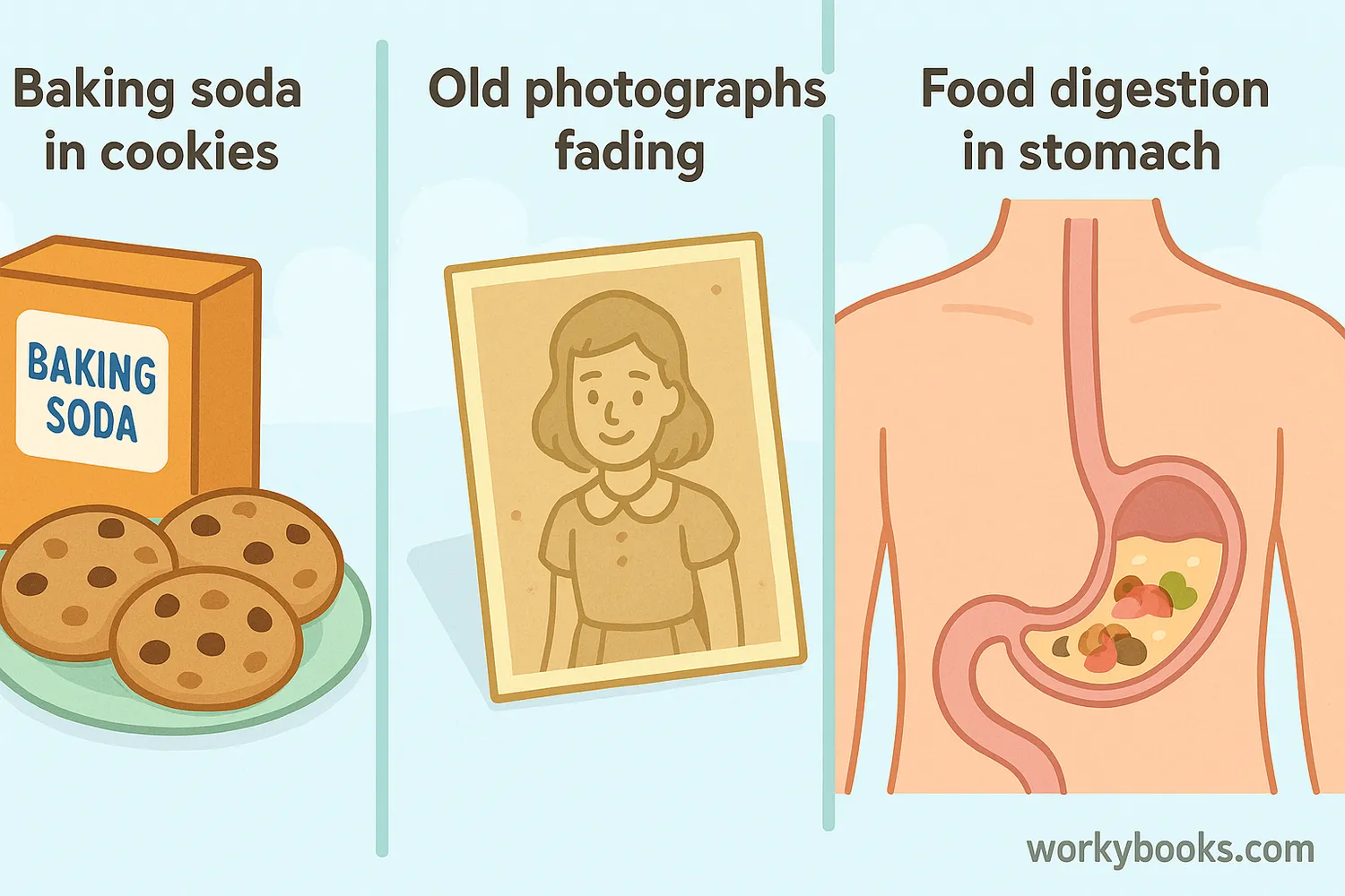 Decomposition reactions in everyday life
