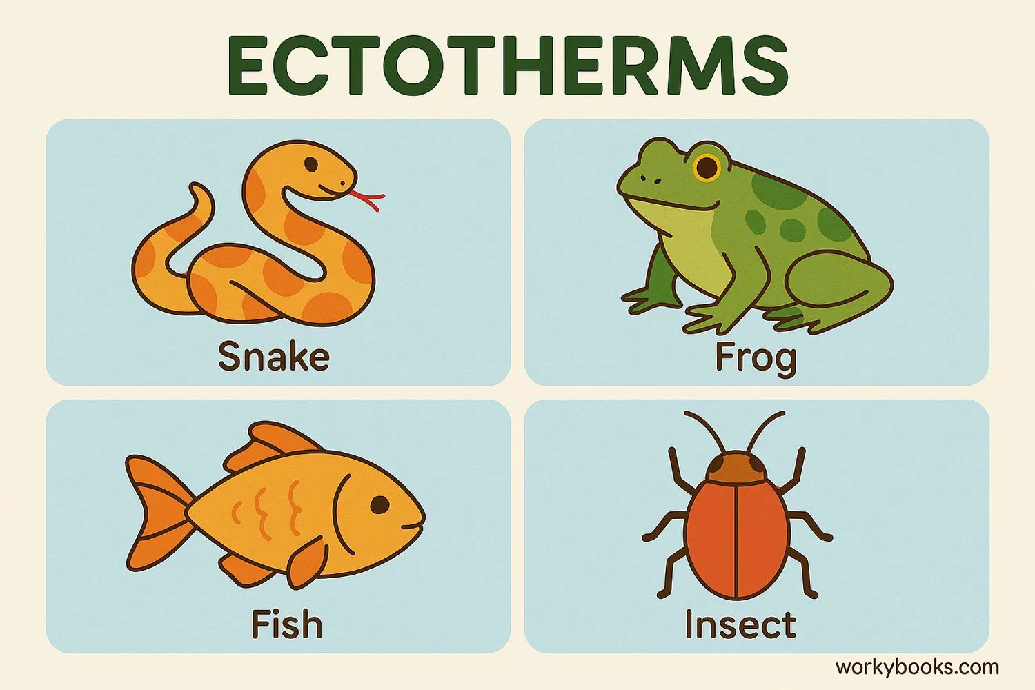 Variety of ectothermic animals