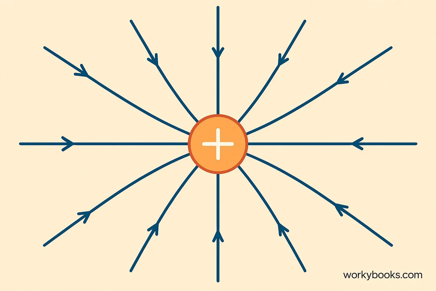 Electric field lines around a positive charge